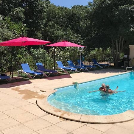 Gites De La Massane Argelès-sur-Mer Dış mekan fotoğraf