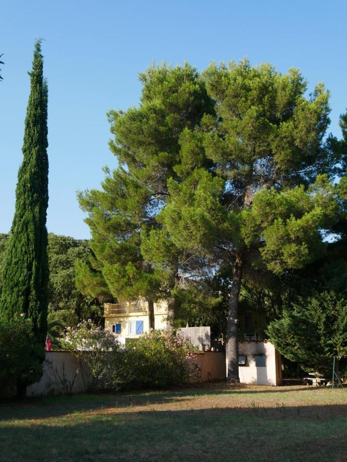 Gites De La Massane Argelès-sur-Mer Dış mekan fotoğraf