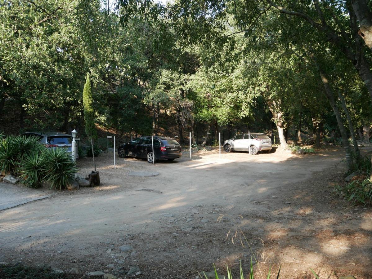 Gites De La Massane Argelès-sur-Mer Dış mekan fotoğraf