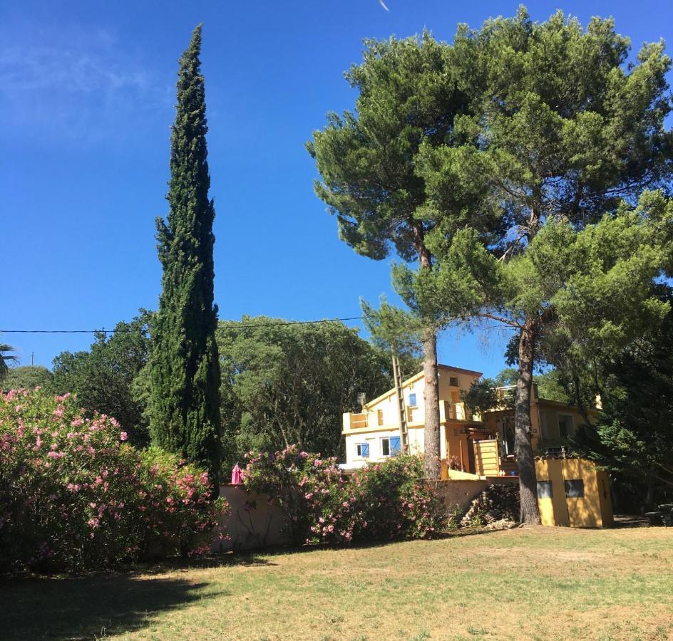 Gites De La Massane Argelès-sur-Mer Dış mekan fotoğraf