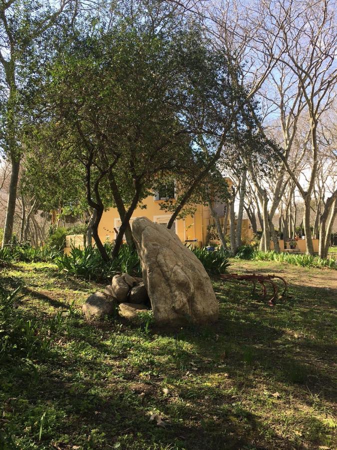 Gites De La Massane Argelès-sur-Mer Dış mekan fotoğraf