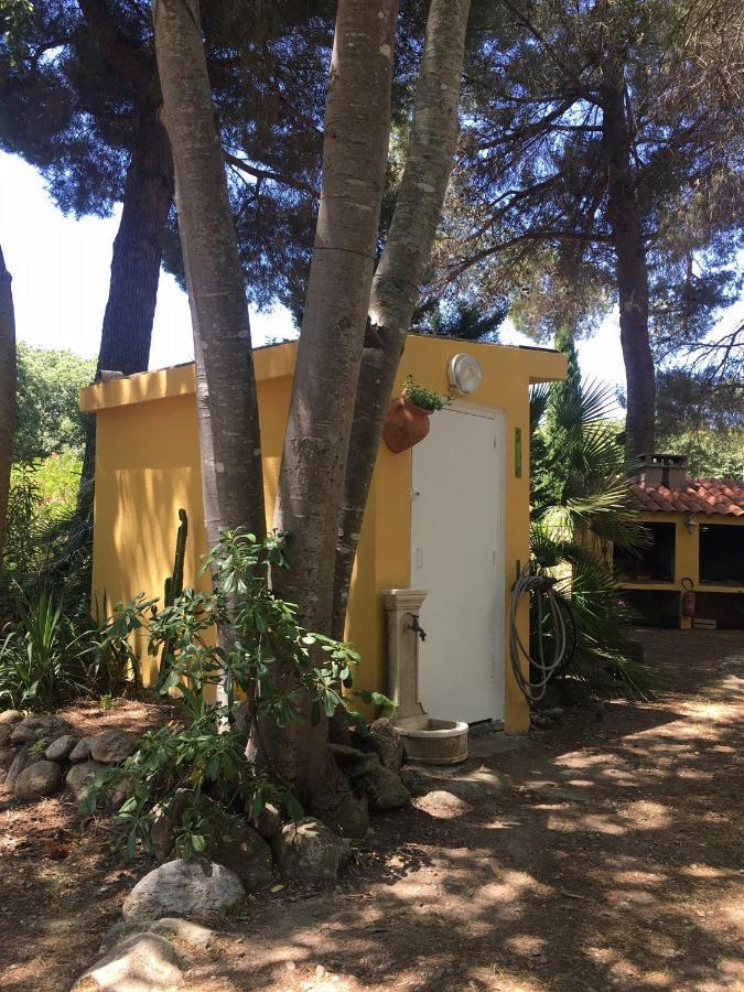Gites De La Massane Argelès-sur-Mer Dış mekan fotoğraf