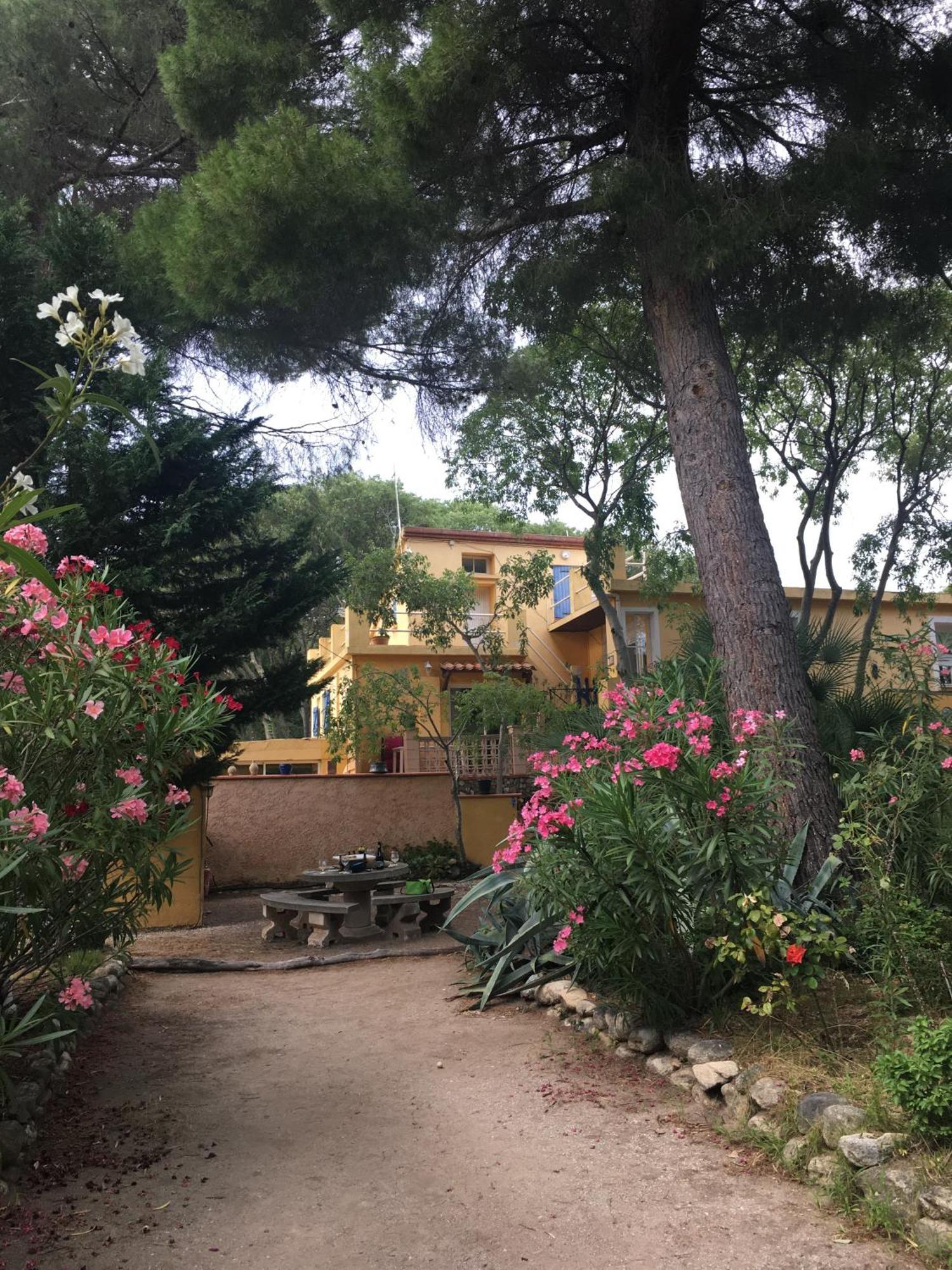 Gites De La Massane Argelès-sur-Mer Dış mekan fotoğraf
