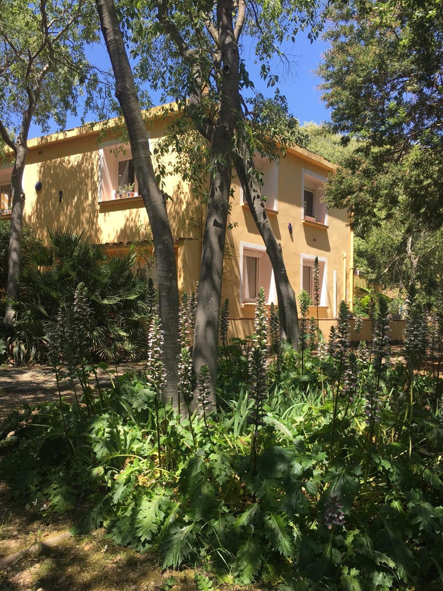 Gites De La Massane Argelès-sur-Mer Dış mekan fotoğraf